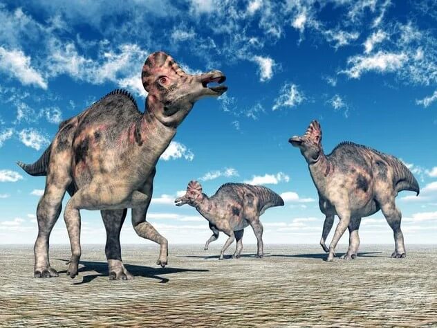 Corythosaurios-tipos de dinosaurios de pico de pato