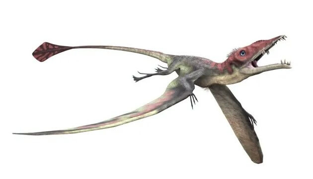 Información y guía de los dinosaurios voladores - Amigo Dinosaurio