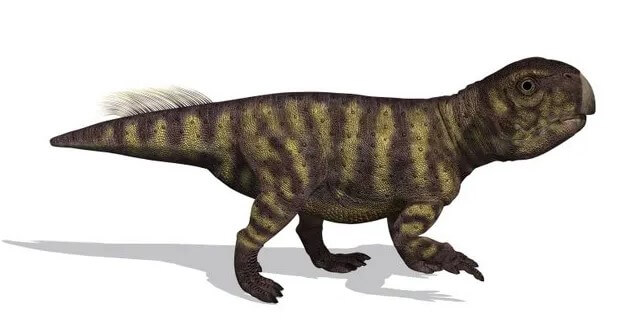 Psittacosaurus, el dinosaurio loro